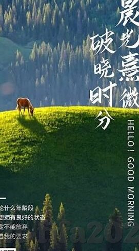 手机直播足球比分-手机直播足球比分，科技赋能下的足球狂欢新体验